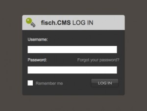 The custom CMS login screen.
